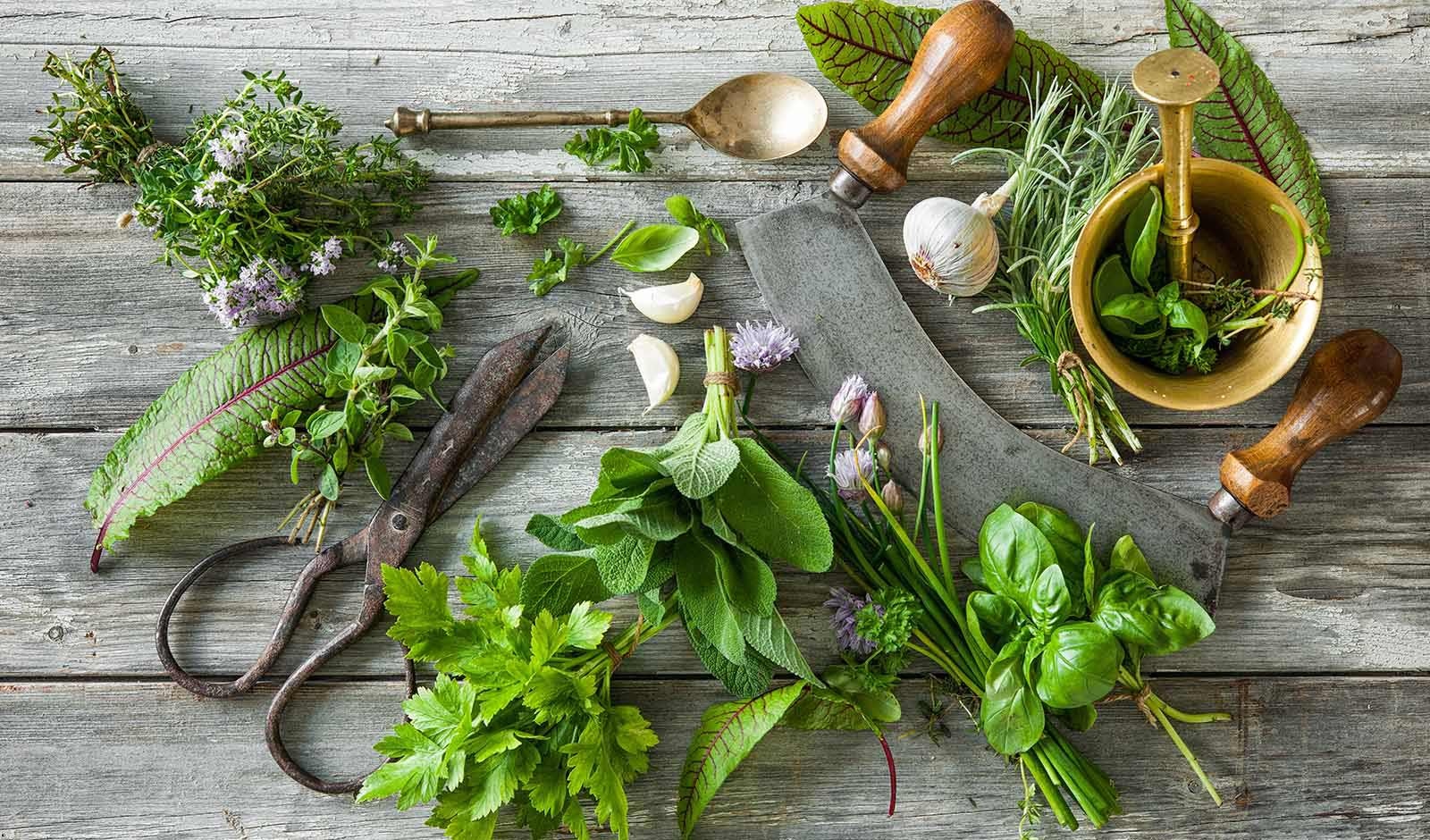 Your own herb garden for amazingly aromatic and useful herbs