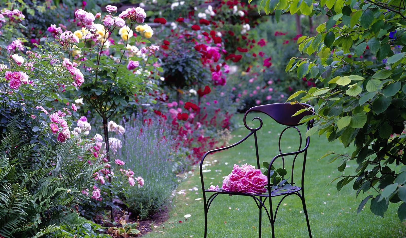 Ever-blooming flower gardens for a beautiful year!