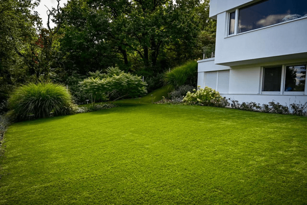 Unveiled: 5 Brand-New Artificial Turf Products at GardenExpo